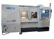 Alphamab 310Y